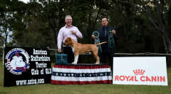 Dog Challenge & Open in Show - Ch. Ironklad Pretty Boy Floyd